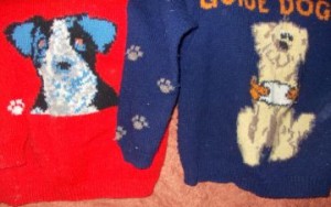 knitting 2 dog jumpers