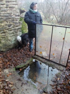 st priest st wolf well